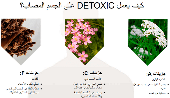 detoxic معنى